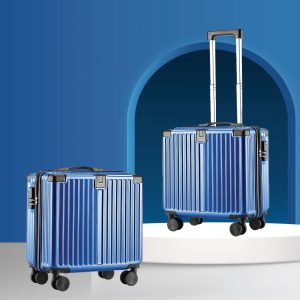 Nivea Travel Luggage