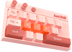 SanDisk Keyboard Style Number Plate