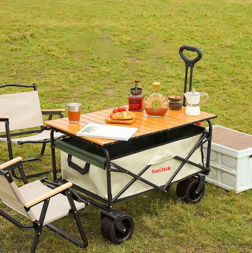 SanDisk Outdoor Foldable Trolley Wagon