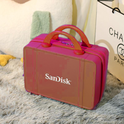 SanDisk Travel Case